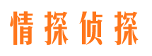 申扎调查公司